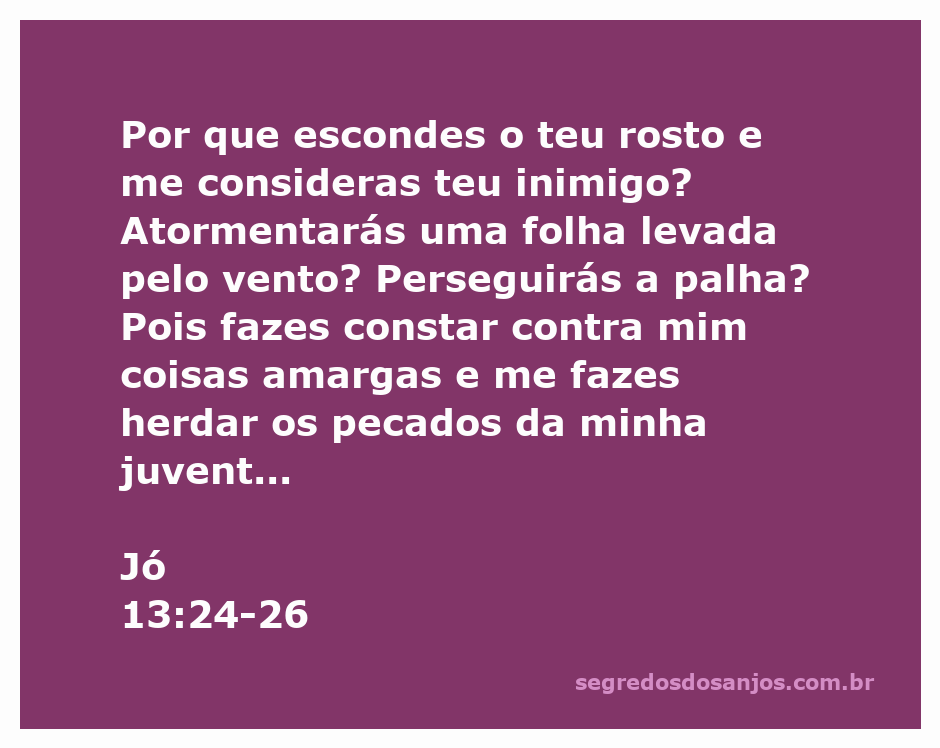 Imagem representativa de Jó questionando Deus sobre seu sofrimento, refletindo a angústia e a busca por compreensão.