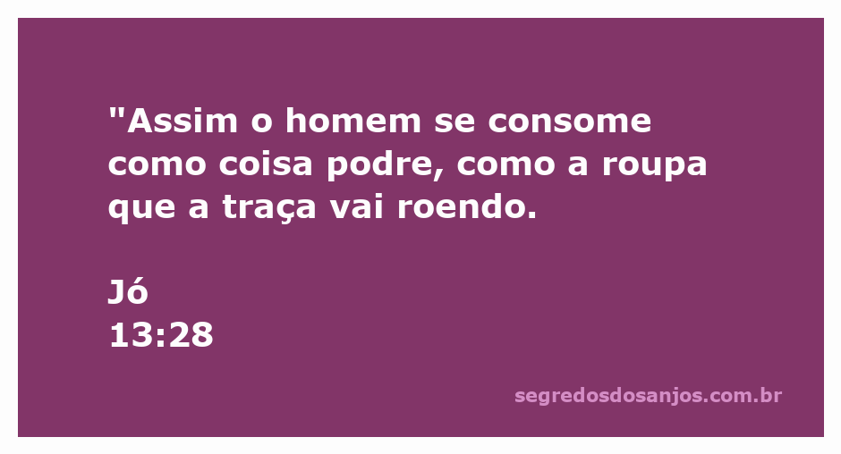 Imagem de um homem envelhecendo e se consumindo, simbolizando a fragilidade da vida, em referência a Jó 13:28.