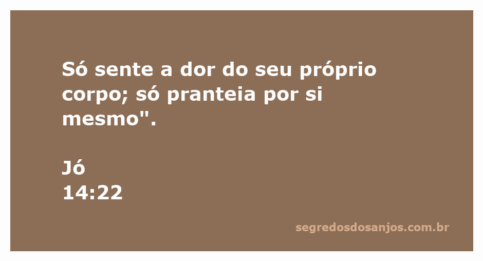 Imagem representativa da reflexão sobre a dor e o sofrimento humano, inspirada em Jó 14:22.