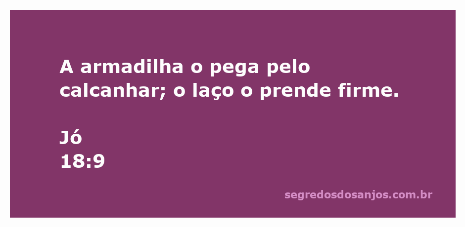 Imagem representando a armadilha que captura um animal pelo calcanhar, simbolizando as dificuldades e armadilhas da vida.