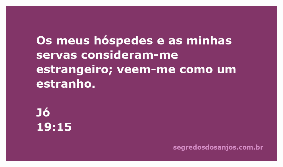 Imagem representando a solidão e o estranhamento de Jó entre seus hóspedes e servos, simbolizando sua dor e rejeição.