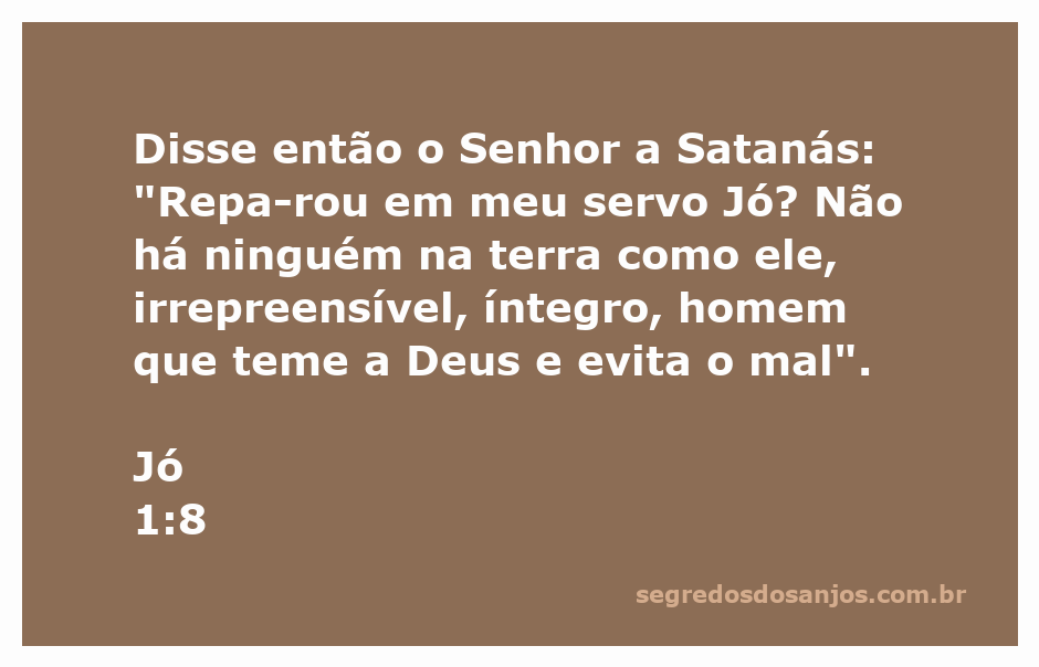 Imagem representativa do versículo Jó 1:8, destacando a integridade e temor a Deus de Jó.