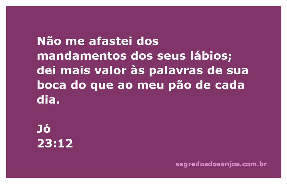 Imagem representativa do versículo Jó 23:12, destacando a importância das palavras de Deus.