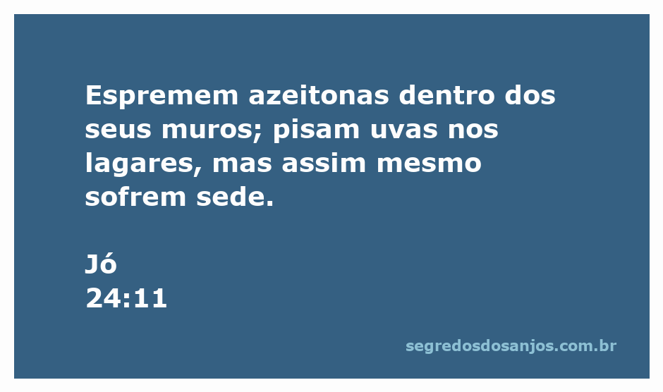 Imagem de trabalhadores espremendo azeitonas e pisando uvas em lagares, simbolizando o esforço e a luta humana.