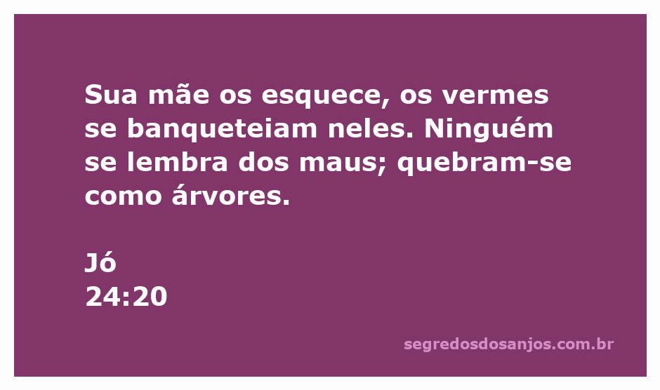Imagem simbolizando a passagem de Jó 24:20, mostrando a efemeridade da vida e a inevitabilidade da morte.