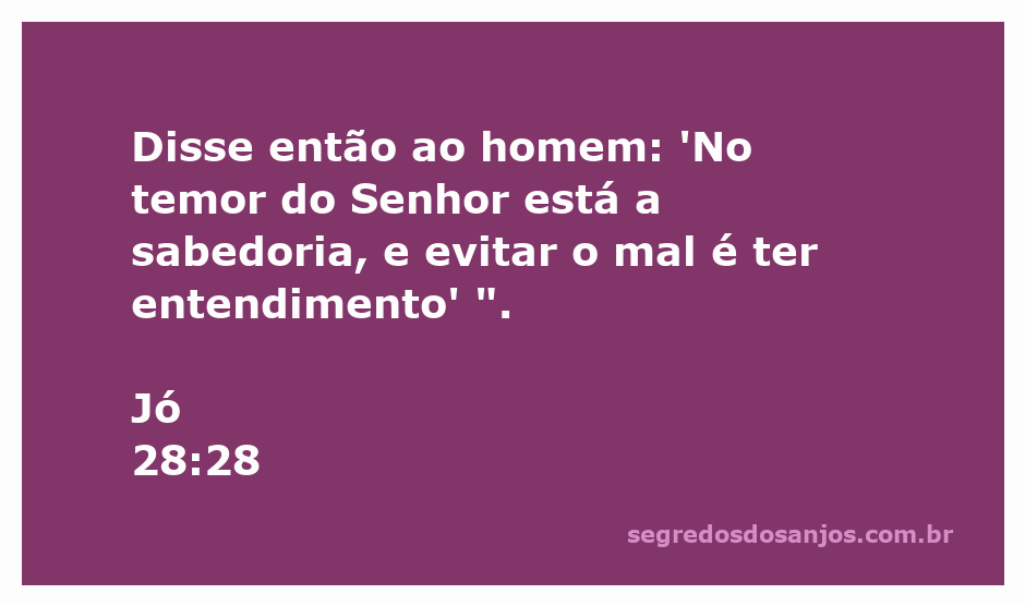 Versículo de Jó 28:28 destacando a sabedoria no temor do Senhor.
