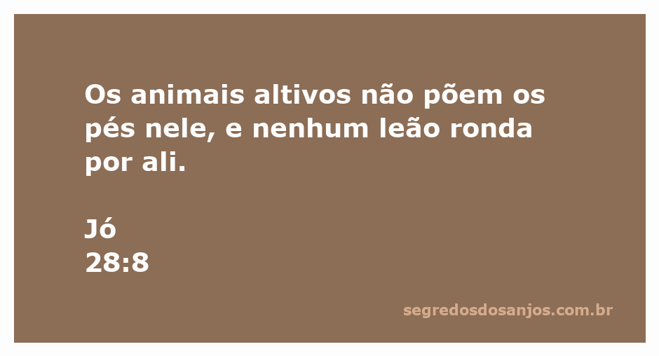 Uma imagem representando a sabedoria e a segurança do lugar onde os animais altivos e leões não entram, inspirada em Jó 28:8.