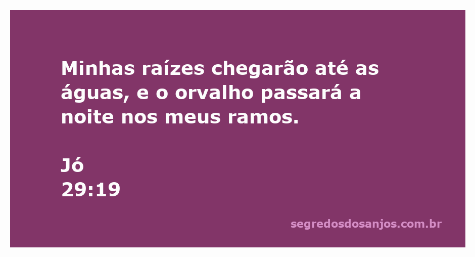 Imagem de uma árvore robusta com raízes fortes e folhas verdes sob um céu estrelado, simbolizando a prosperidade e a conexão com a natureza.