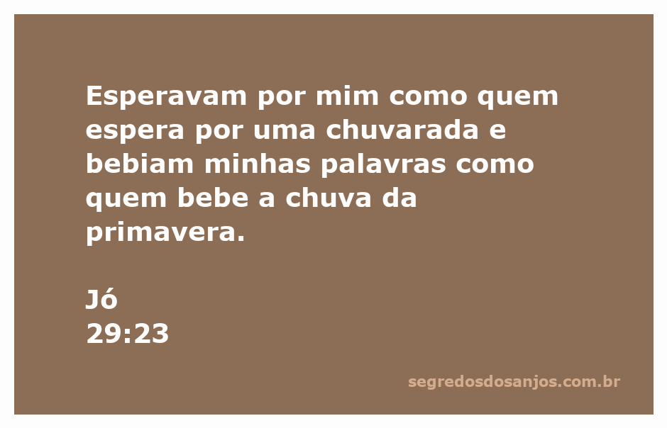 Imagem representando a esperança e a palavra de Jó como chuva da primavera.