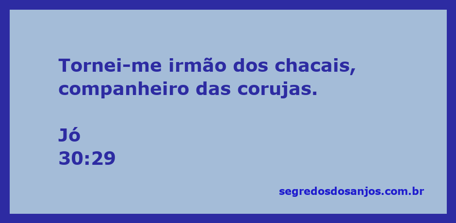 Imagem representativa de um homem solitário cercado por chacais e corujas, simbolizando a tristeza e abandono descritos em Jó 30:29.