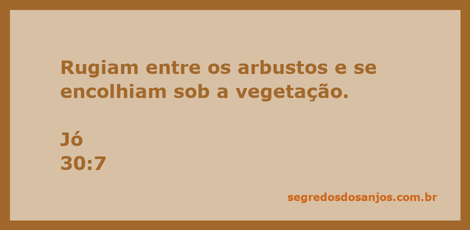 Imagem de animais rugindo entre arbustos, simbolizando a angústia descrita em Jó 30:7.