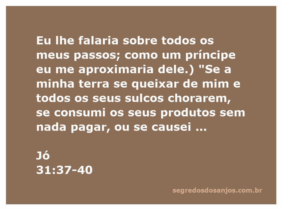 Imagem representativa de Jó 31:37-40, onde Jó expressa sua integridade e preocupação com a terra.