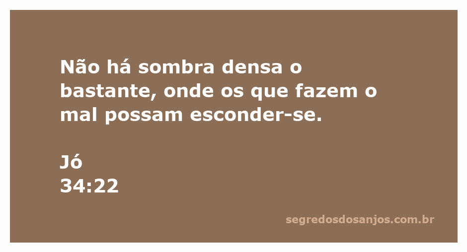 Imagem de uma sombra densa simbolizando a incapacidade de esconder-se do mal, acompanhada do versículo Jó 34:22.