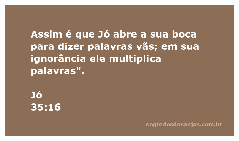 Imagem representativa de Jó discutindo a futilidade de suas palavras em um cenário bíblico.