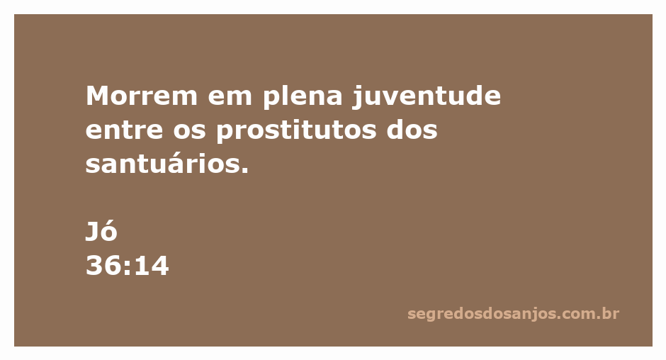 Versículo de Jó 36:14 que menciona a morte precoce entre os prostitutos dos santuários.