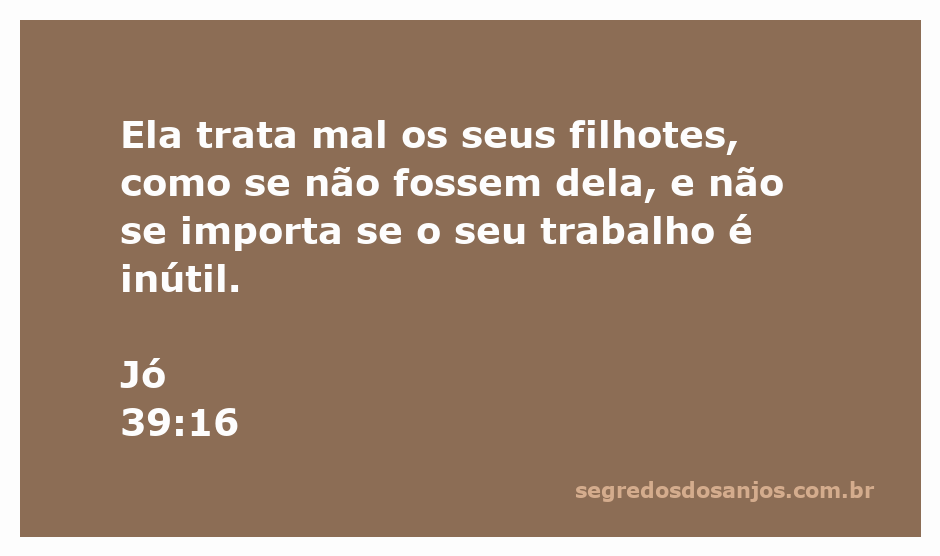 Imagem de uma ave ignorando seus filhotes, simbolizando a negligência e a indiferença materna.