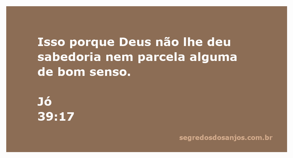 Uma representação artística do versículo Jó 39:17, destacando a falta de sabedoria e bom senso.