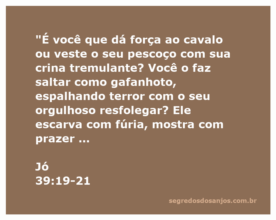 Cavalo forte e majestoso simbolizando a força e a bravura mencionadas em Jó 39:19-21.