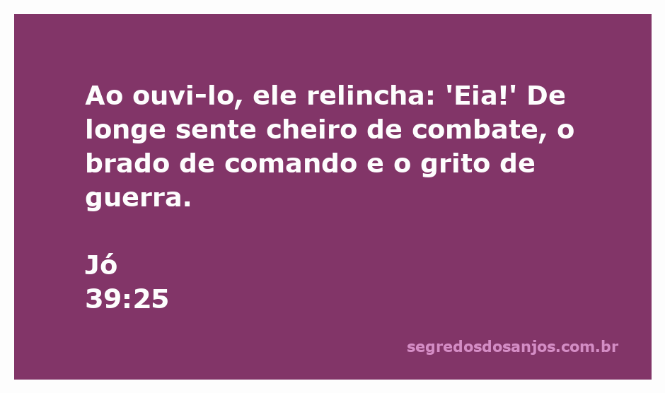 Cavalo relinchando ao ouvir o chamado para a batalha, representando a força e coragem descritas em Jó 39:25.