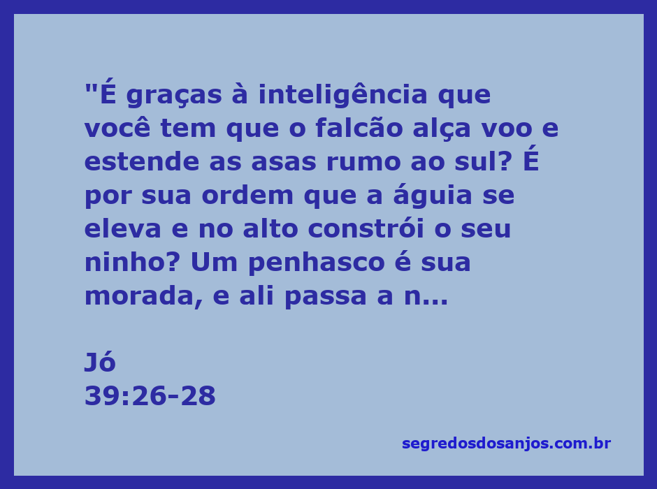 Falcão e águia voando sobre um penhasco, simbolizando a inteligência e a força na natureza.