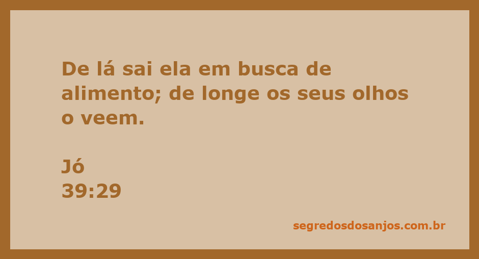 Águia em busca de alimento, simbolizando a visão aguçada e a força na natureza.