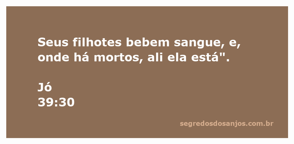 Uma águia com seus filhotes, representando a força e a natureza predatória descrita em Jó 39:30.