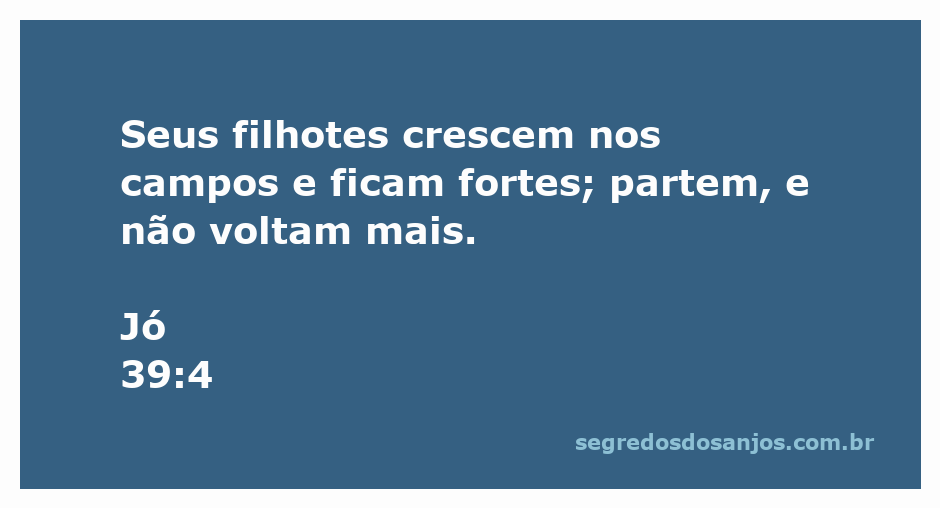 Imagem de filhotes de animais crescendo nos campos, simbolizando força e independência.