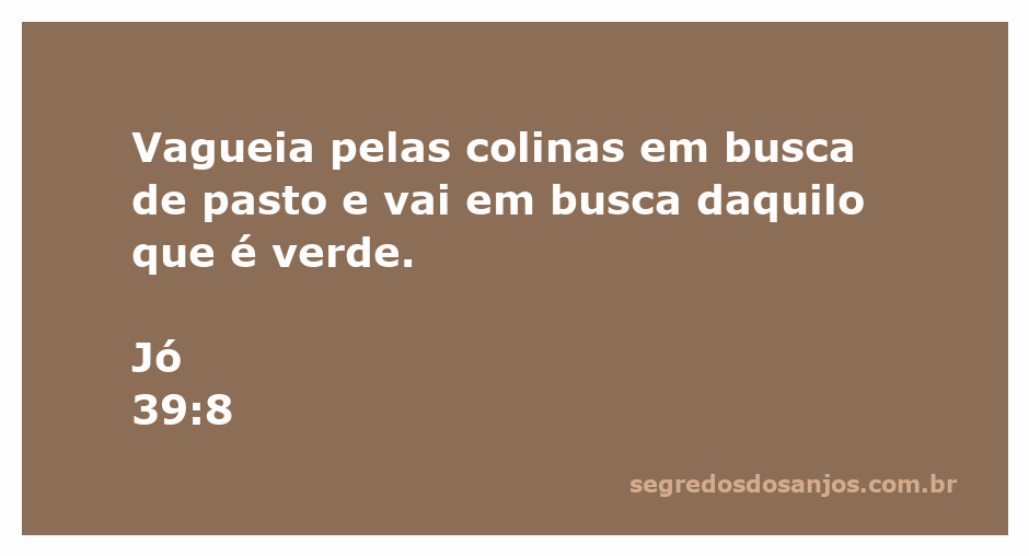 Um animal vagando pelas colinas em busca de pasto verde, representando a busca pela sustento.