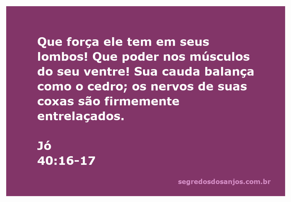 Imagem de um animal majestoso representando a força e poder descritos em Jó 40:16-17.