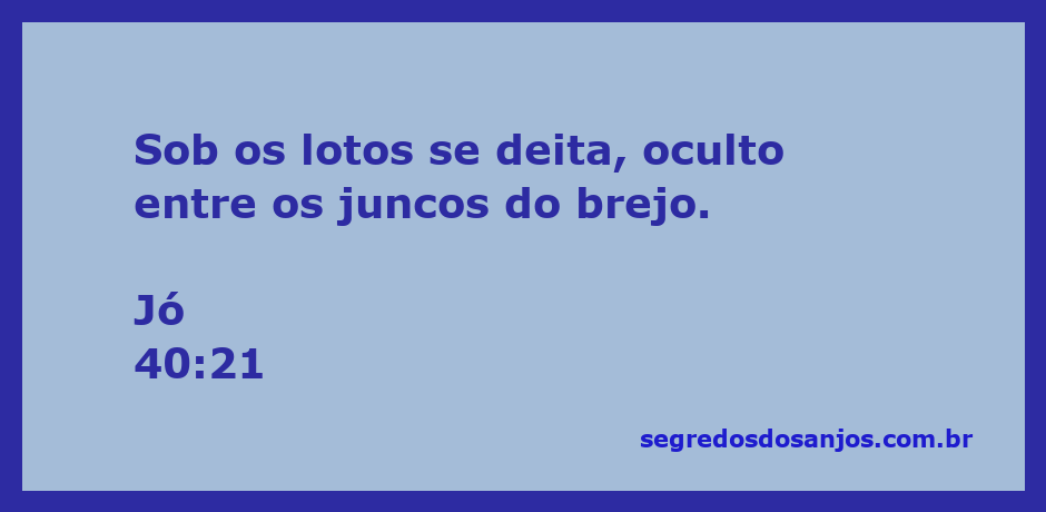 Imagem de um animal repousando entre lotos e juncos em um brejo.