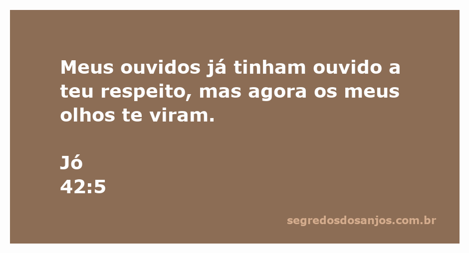 Imagem representativa do versículo Jó 42:5, destacando a visão e a revelação divina.