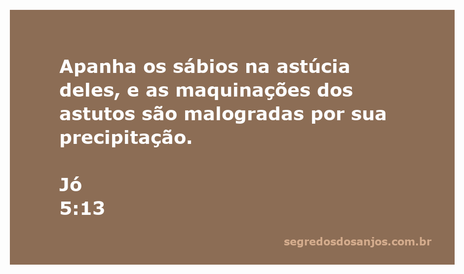 Ilustração do versículo de Jó 5:13 que fala sobre a astúcia dos sábios e a falha dos astutos.