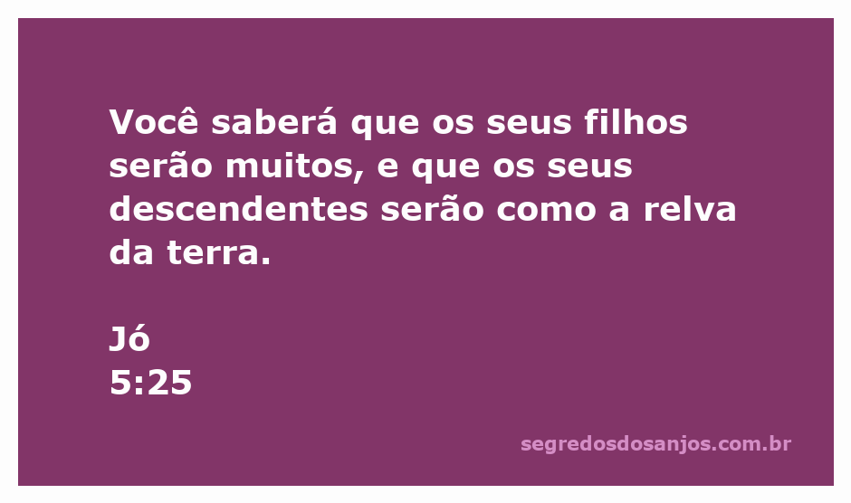 Versículo bíblico Jó 5:25 que fala sobre a abundância dos filhos e descendentes.
