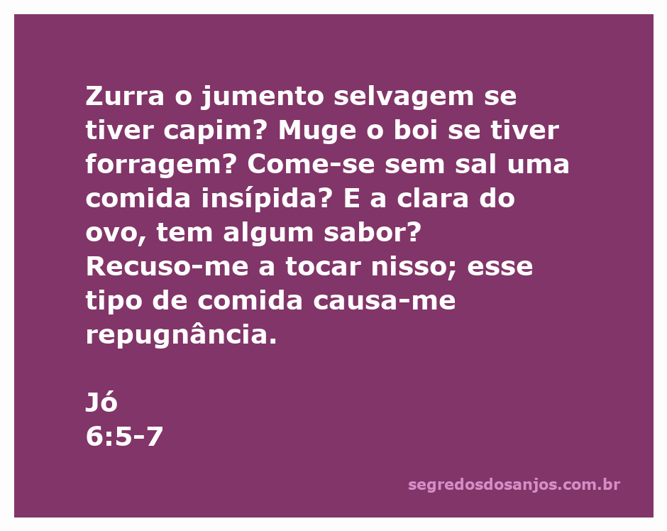Ilustração do versículo Jó 6:5-7, destacando a metáfora do jumento e do boi em busca de alimento.