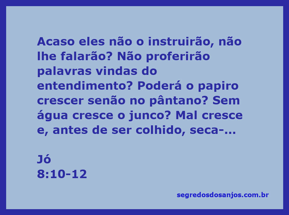 Imagem representando a passagem de Jó 8:10-12, com a metáfora do papiro e do junco em um pântano.