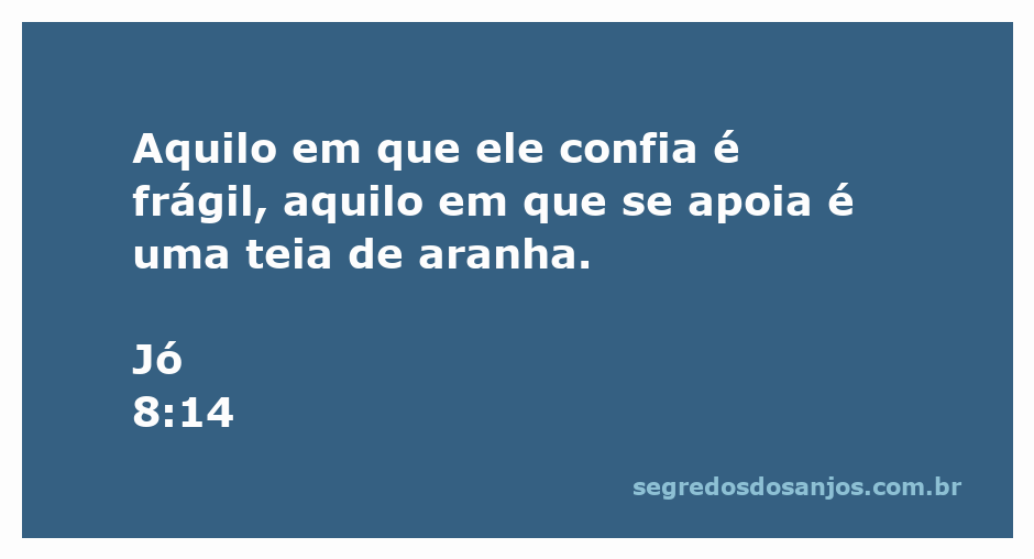 Imagem representativa da fragilidade da confiança humana, simbolizada por uma teia de aranha.