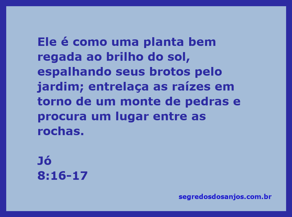 Ilustração de uma planta exuberante crescendo entre pedras, simbolizando resiliência e prosperidade.