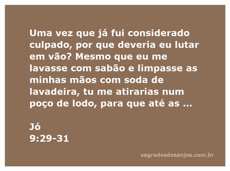 Imagem que representa a reflexão de Jó sobre sua culpa e a busca por purificação em Jó 9:29-31.