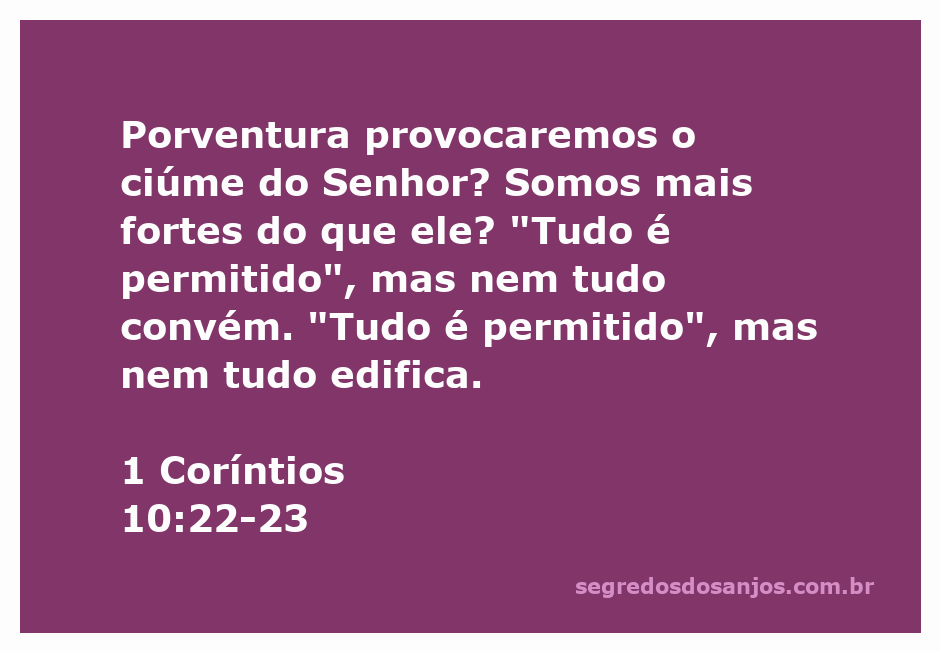 Ilustração do versículo 1 Coríntios 10:22-23, destacando a reflexão sobre liberdade e responsabilidade cristã.