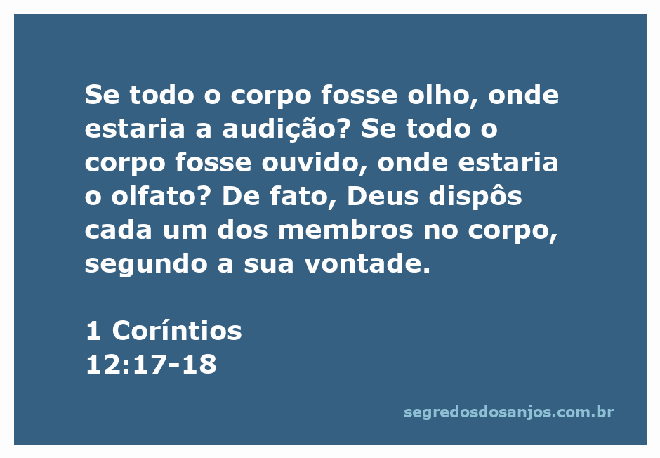 Ilustração de um corpo humano destacando diferentes membros como olhos, ouvidos e nariz, simbolizando a diversidade no corpo de Cristo.