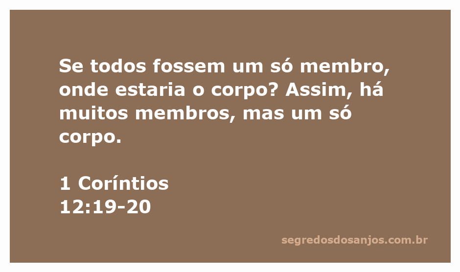 Imagem representativa da diversidade e unidade do corpo de Cristo, ilustrando a passagem de 1 Coríntios 12:19-20 sobre os muitos membros que formam um só corpo.