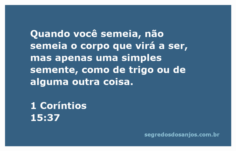 Imagem representativa da semeadura, mostrando uma mão plantando sementes no solo.