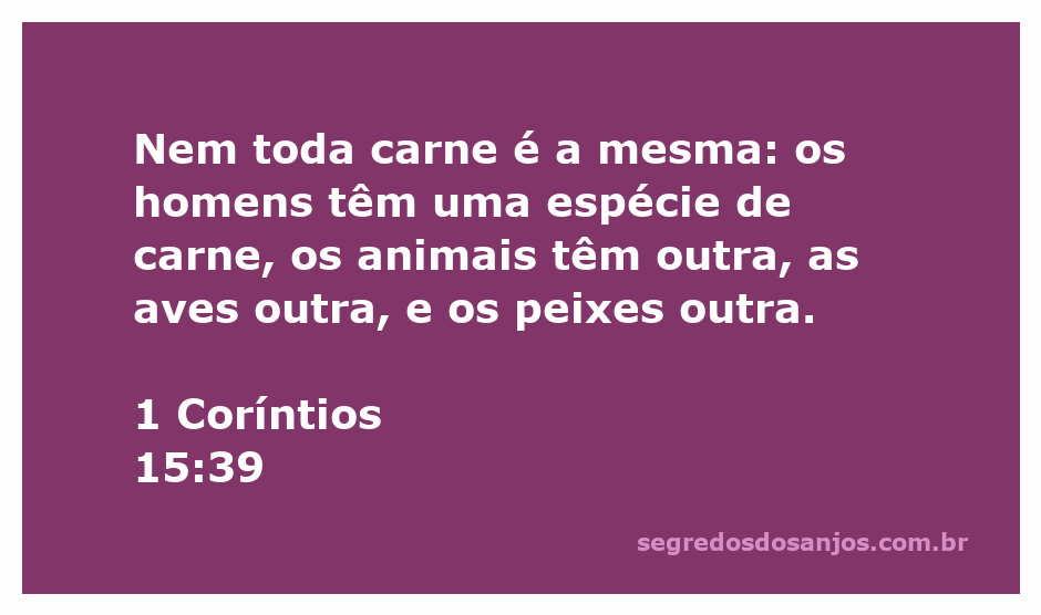 Representação visual das diferentes espécies de carne mencionadas em 1 Coríntios 15:39.