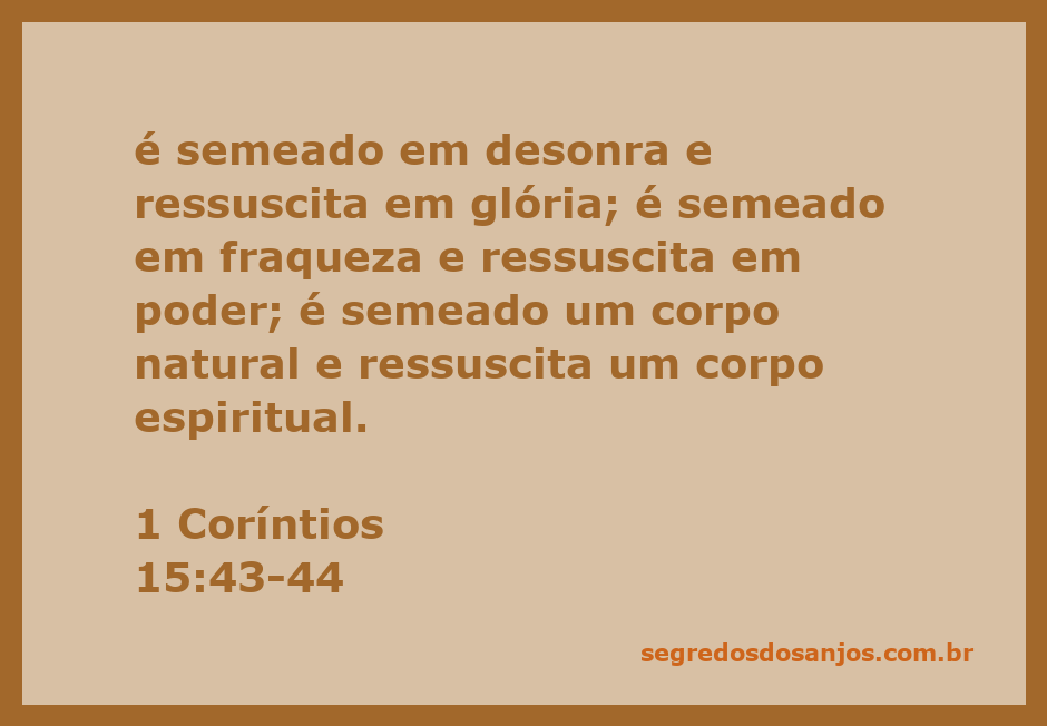 Ilustração representando a transformação de um corpo sem vida em um corpo glorificado, simbolizando a ressurreição.