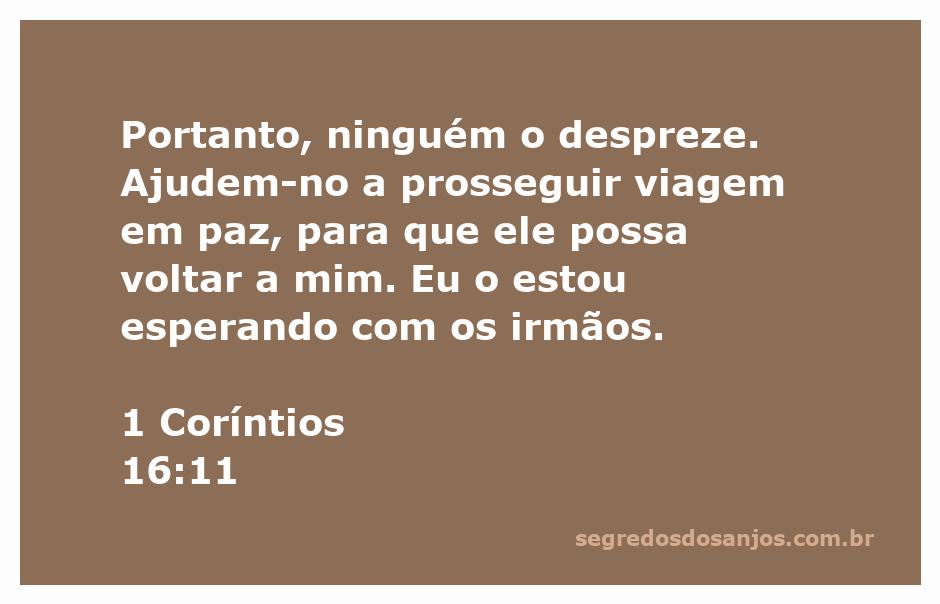 Imagem ilustrativa de apoio e acolhimento, refletindo a mensagem do versículo 1 Coríntios 16:11 sobre ajudar os outros em suas jornadas.