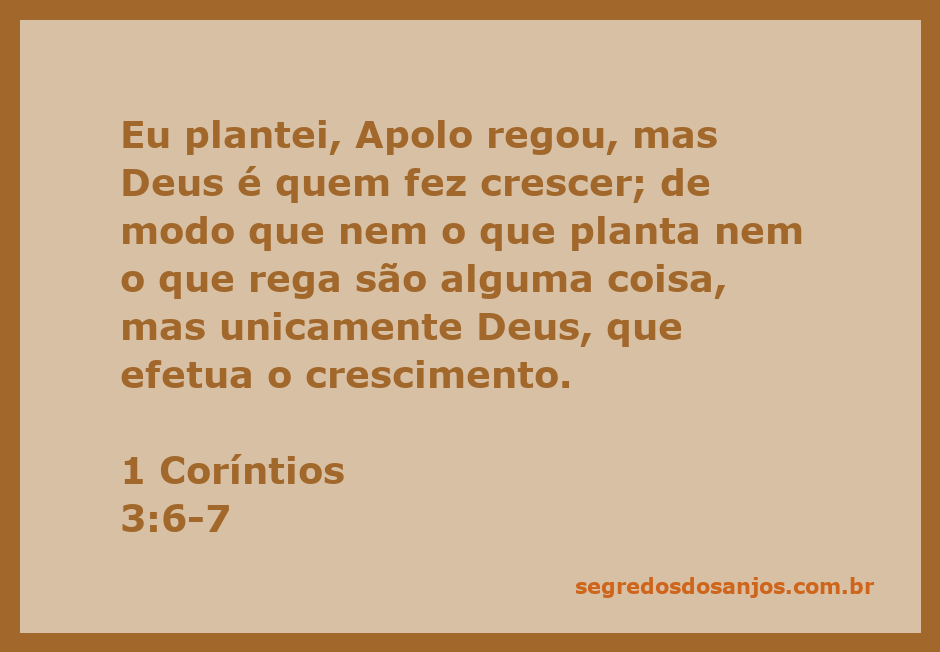 Imagem representando o crescimento espiritual, com plantas e ferramentas de jardinagem simbolizando o trabalho de plantar e regar, mas destacando a ação divina no crescimento.