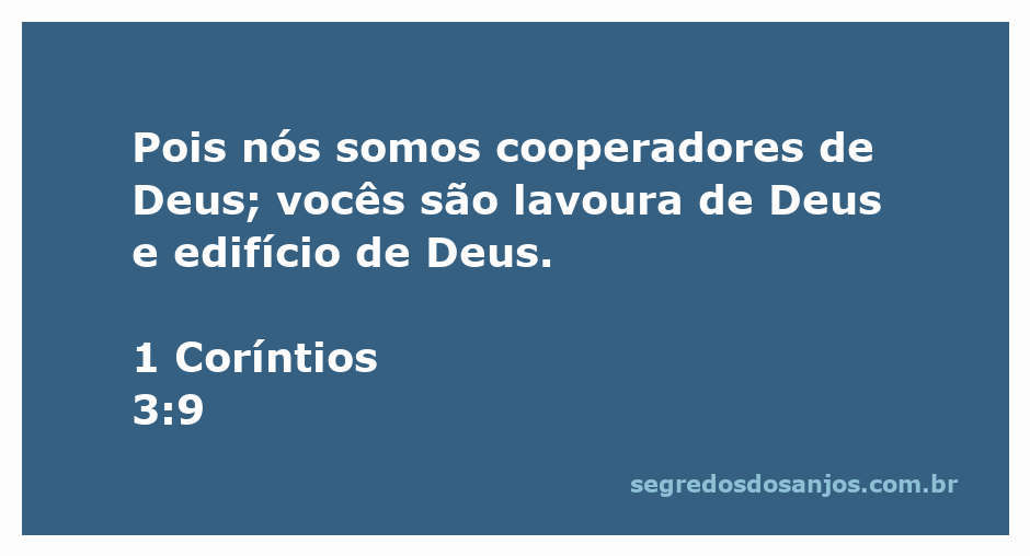 Cooperadores de Deus em 1 Coríntios 3:9, imagem de lavoura e edifício simbolizando a relação com Deus.