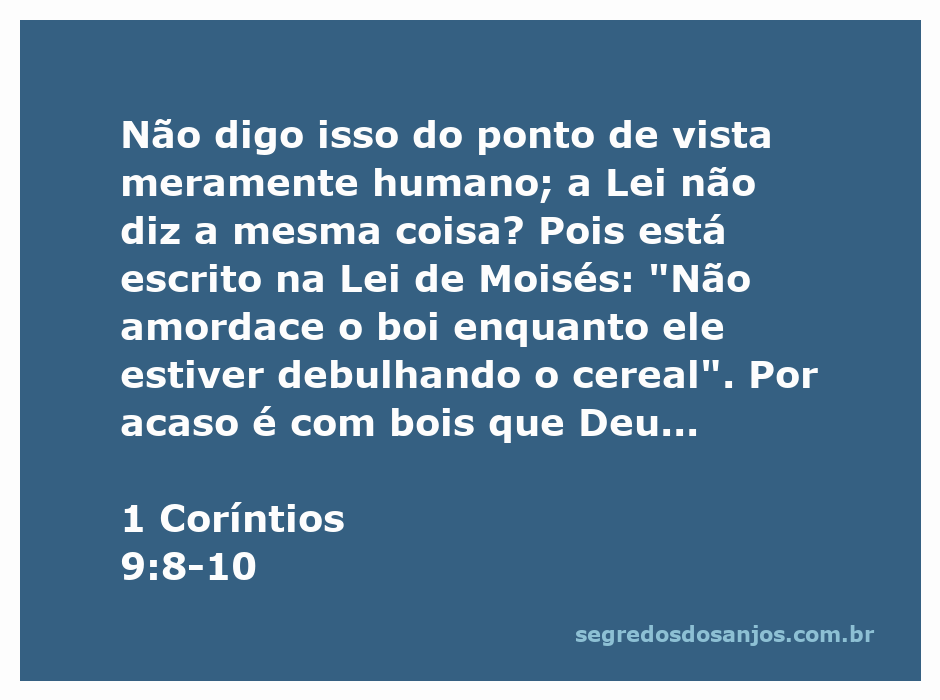 Imagem ilustrativa de um agricultor debulhando grãos, simbolizando o esforço e a recompensa na colheita, relacionado ao versículo de 1 Coríntios 9:8-10.
