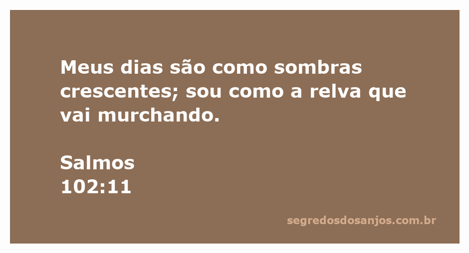 Imagem representativa de sombras e relva murchando, simbolizando a transitoriedade da vida.