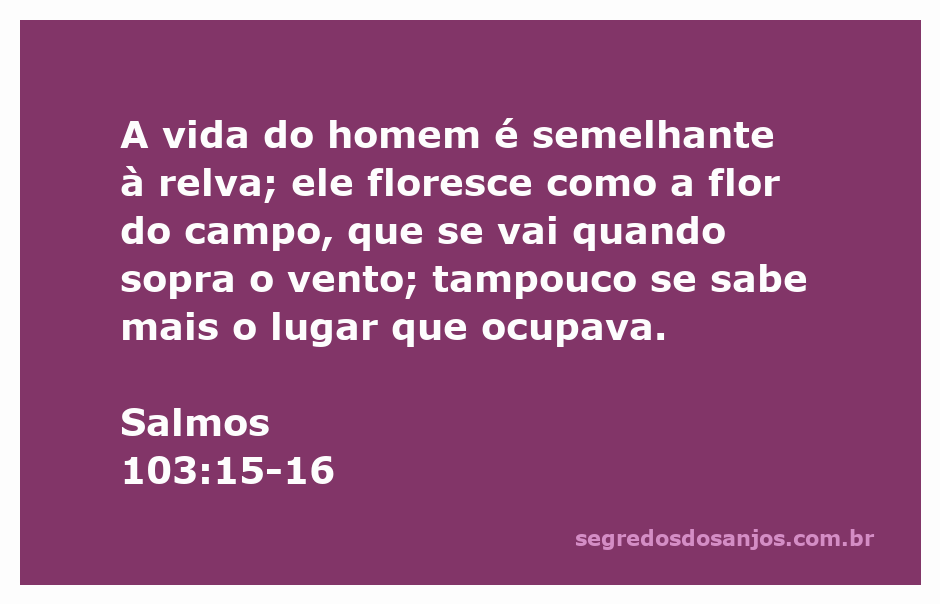 Ilustração de Salmos 103:15-16 mostrando a efemeridade da vida comparada à relva e flores do campo.